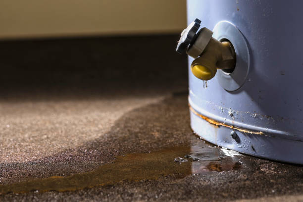 Best Water damage restoration near me  in Manana, HI