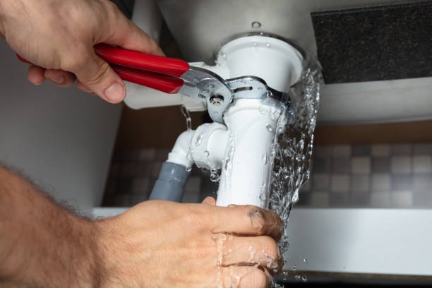 Best Water damage restoration process  in Manana, HI
