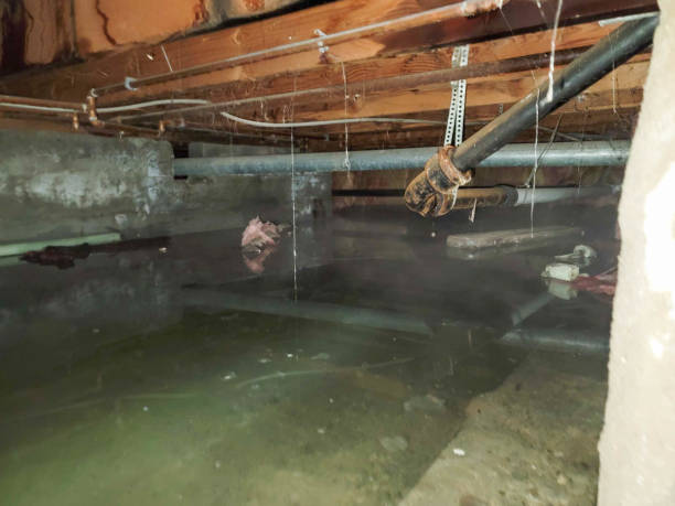  Manana, HI Water damage restoration Pros