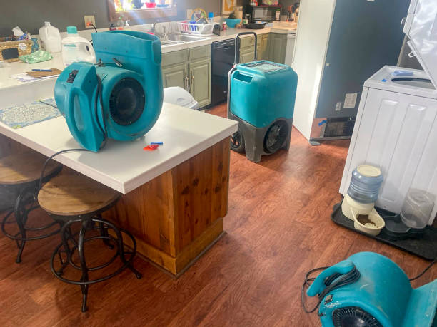 Carpet water damage restoration in Mahinahina, HI