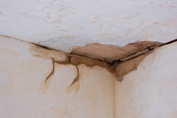 Sewage cleanup and water damage restoration in Mahinahina, HI