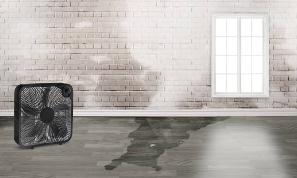 Best 24-hour water damage restoration  in Manana, HI