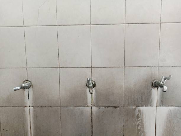 Best Local water damage restoration  in Manana, HI
