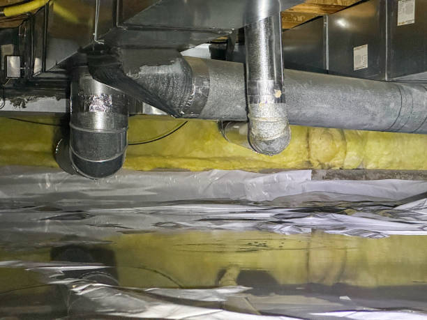 Best Ceiling water damage repair  in Manana, HI