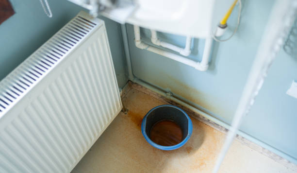 Best Water damage restoration services  in Manana, HI