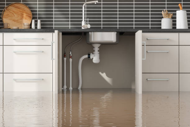 Best Flood restoration services  in Manana, HI