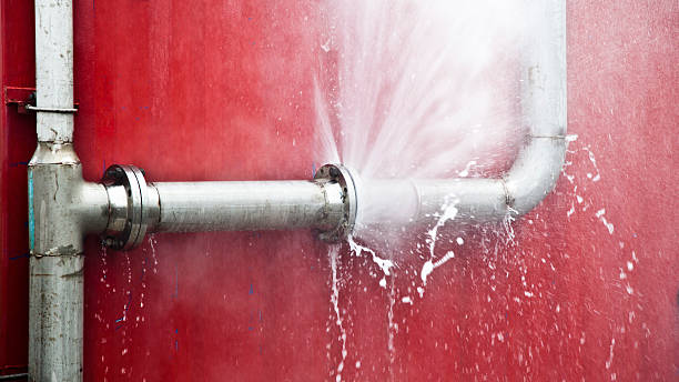 Best Fire Damage Restoration  in Manana, HI